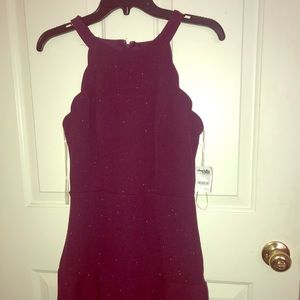 BRAND NEW!! Charlotte Russe Plum Mini Dress